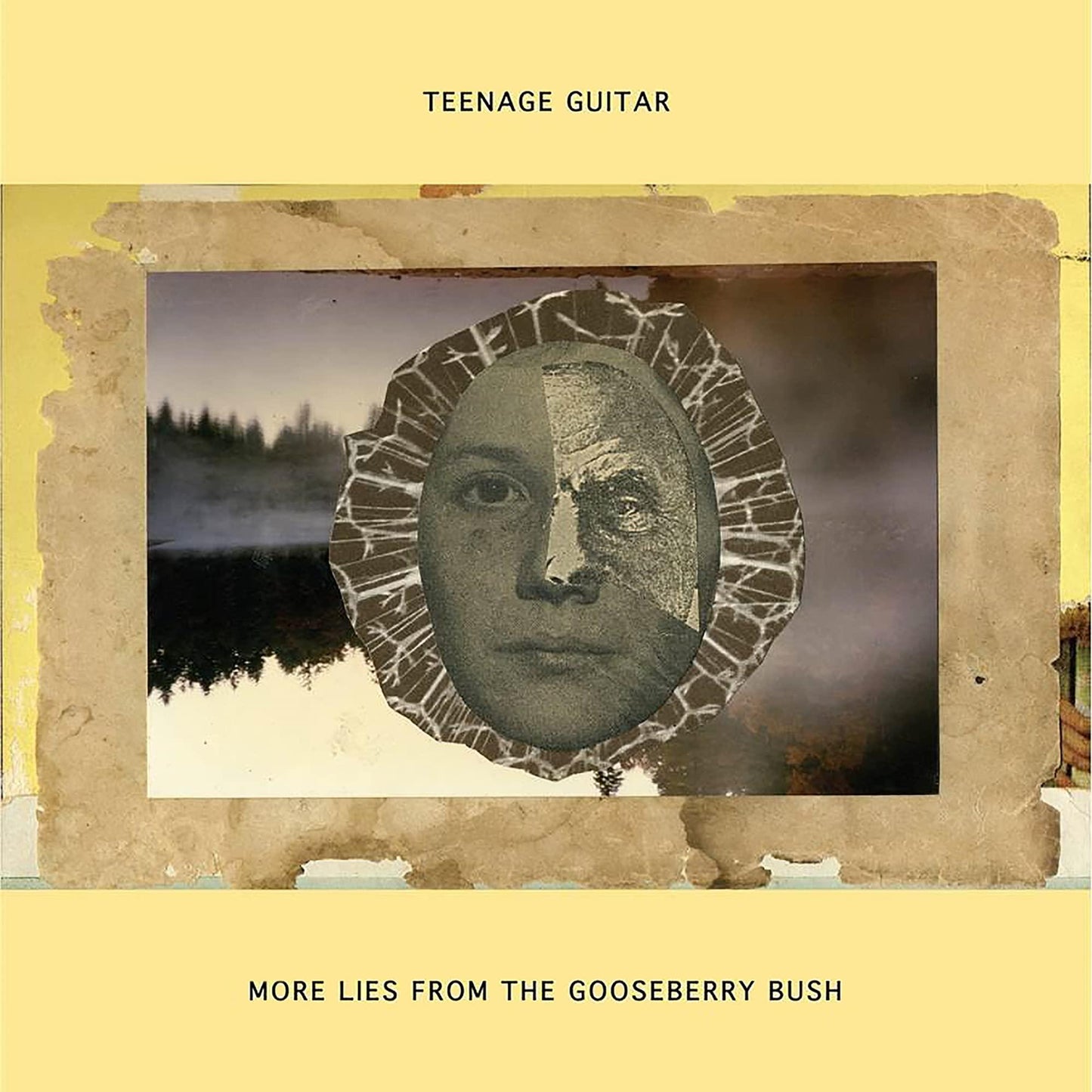 Teenage Guitar - More Lies From the Gooseberry Bush - Double Cd
