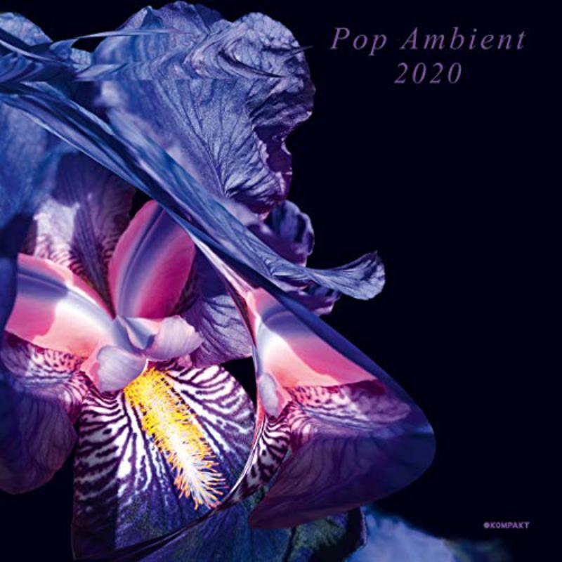 Various Artists - Pop Ambient 2020 - Double Lp