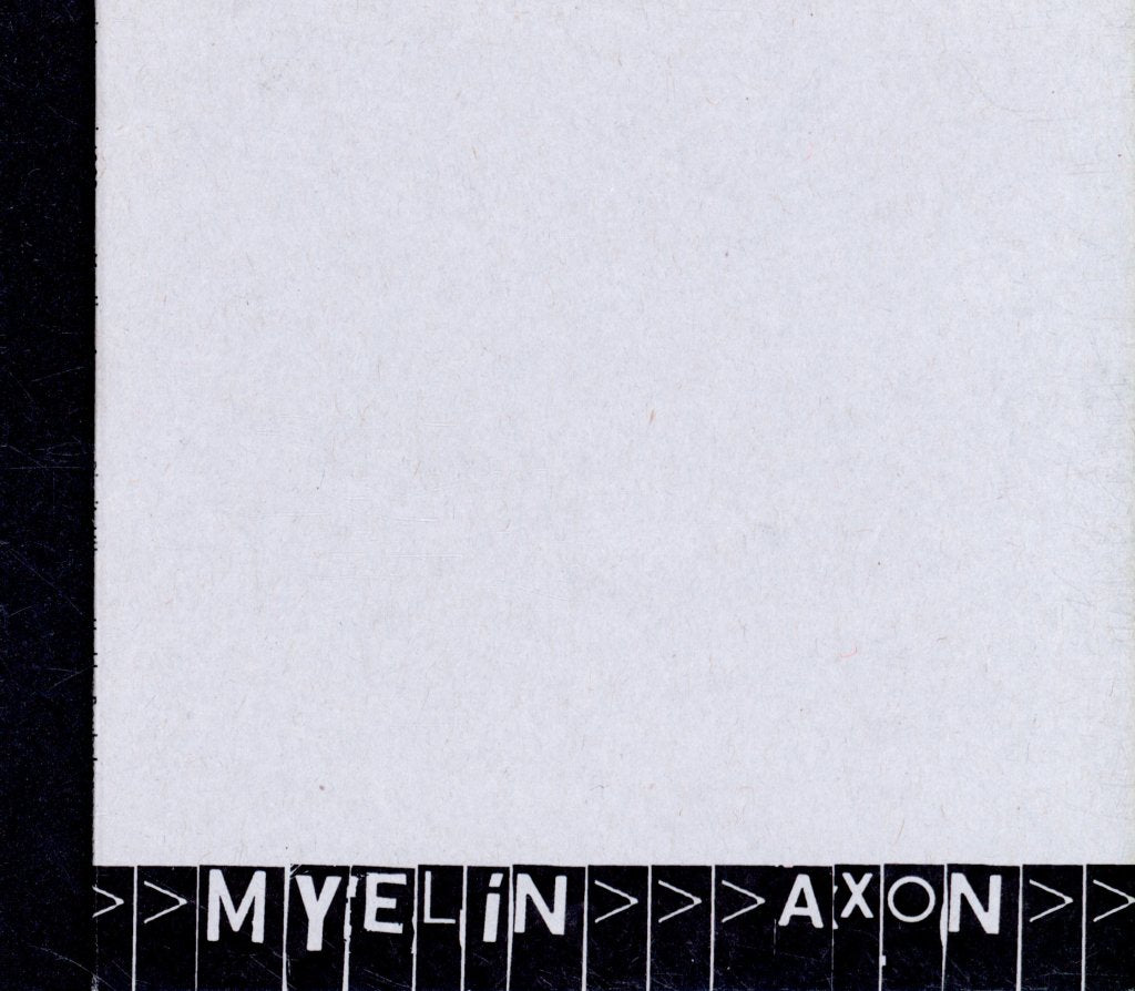 Birgit Ulher / Heddy Boubaker - Myelin - Axon - Cd