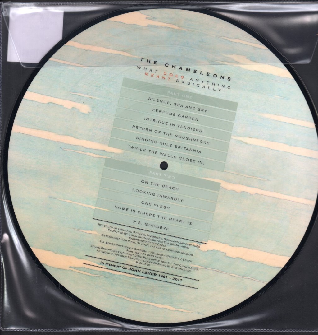 Chameleons - What Does Anything Mean Basically - Lp