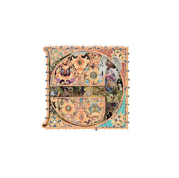 Visio - Privacy Angels - Lp