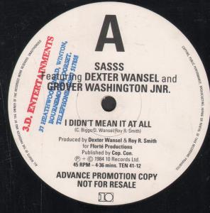 Sasss - I Didn't Mean It At All - 12 Inch