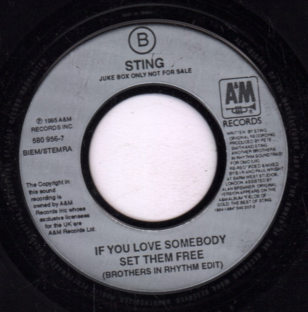 sting featuring pato banton - This Cowboy Song - 7 Inch