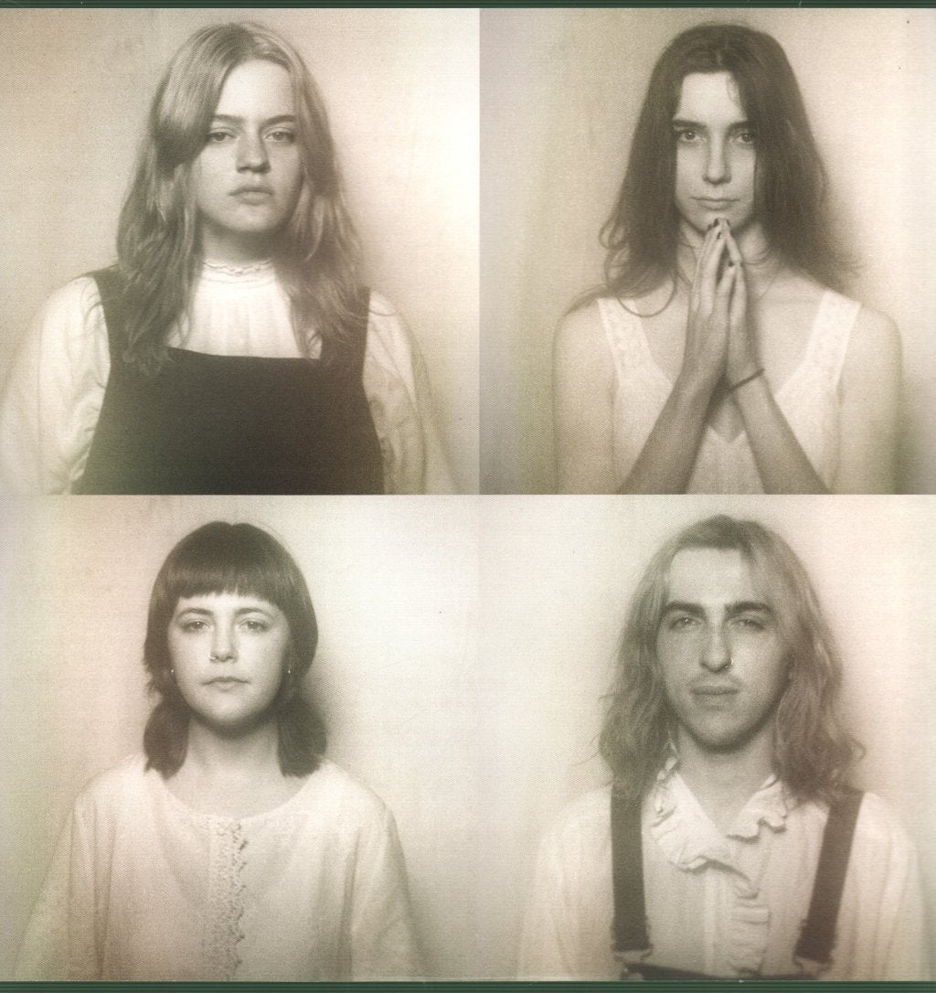 Wych Elm - Rabbit Wench - 12 Inch