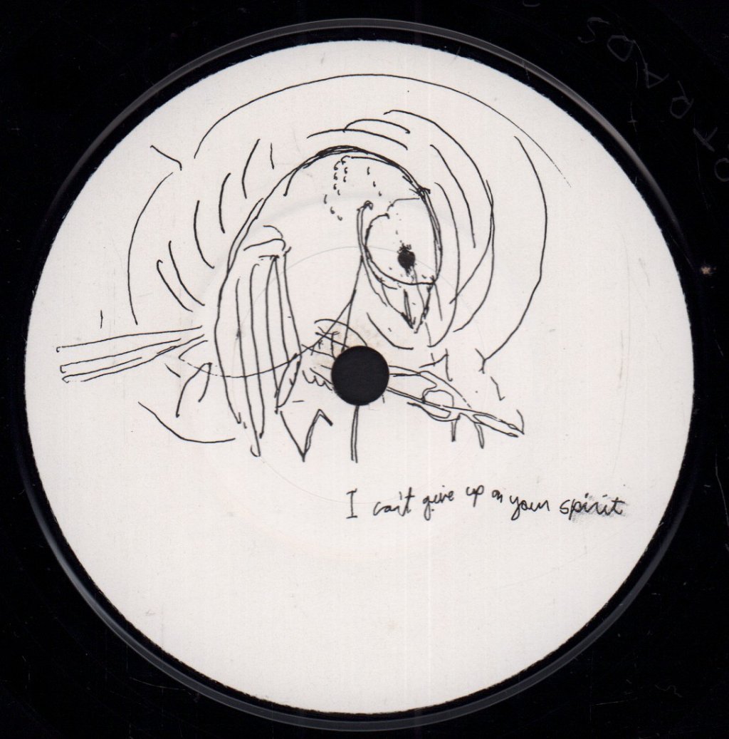 Antony And The Johnsons With Boy George - You Are My Sister - 7 Inch