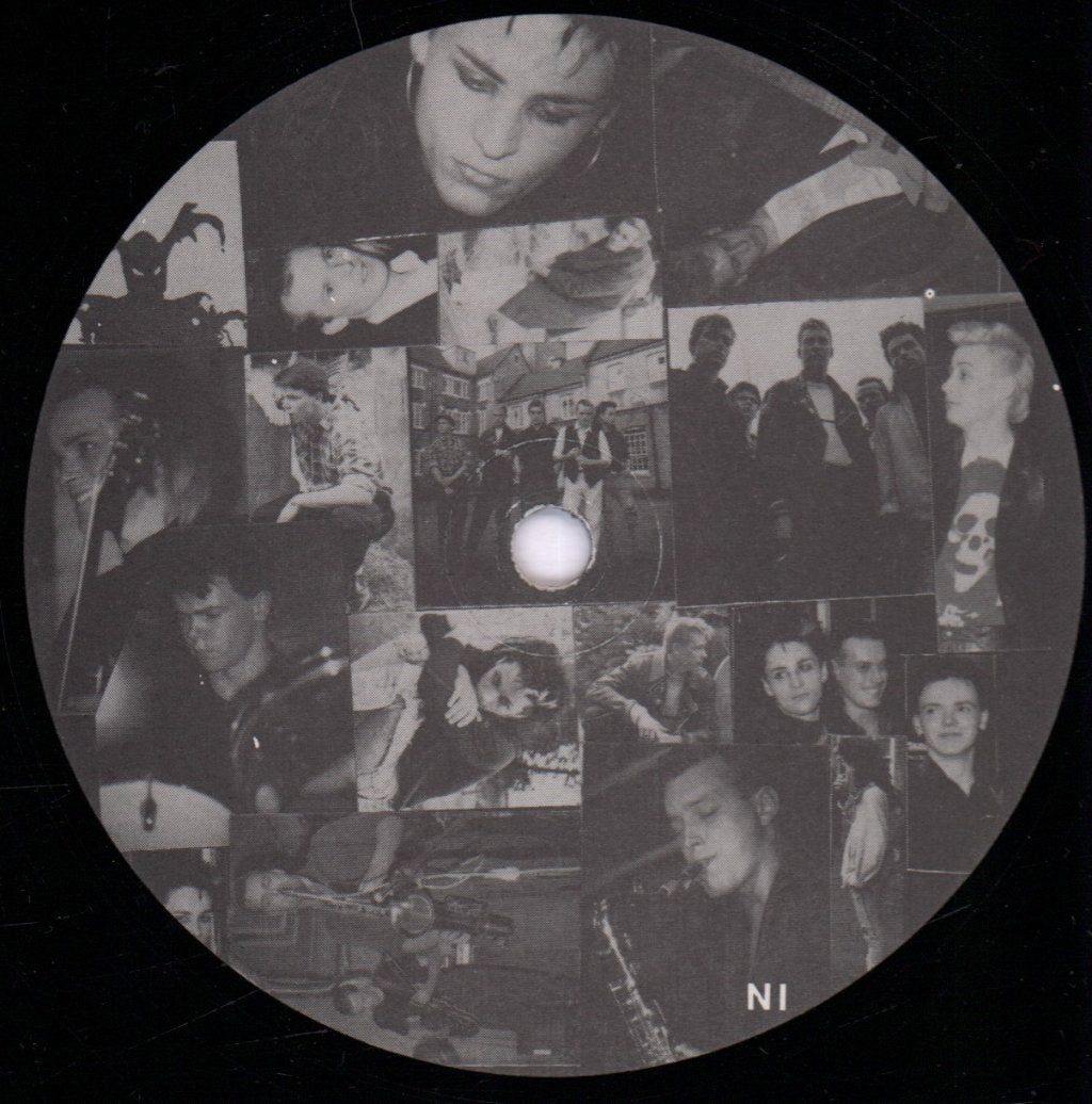 Fields Of The Nephilim - Burning The Fields - 12 Inch