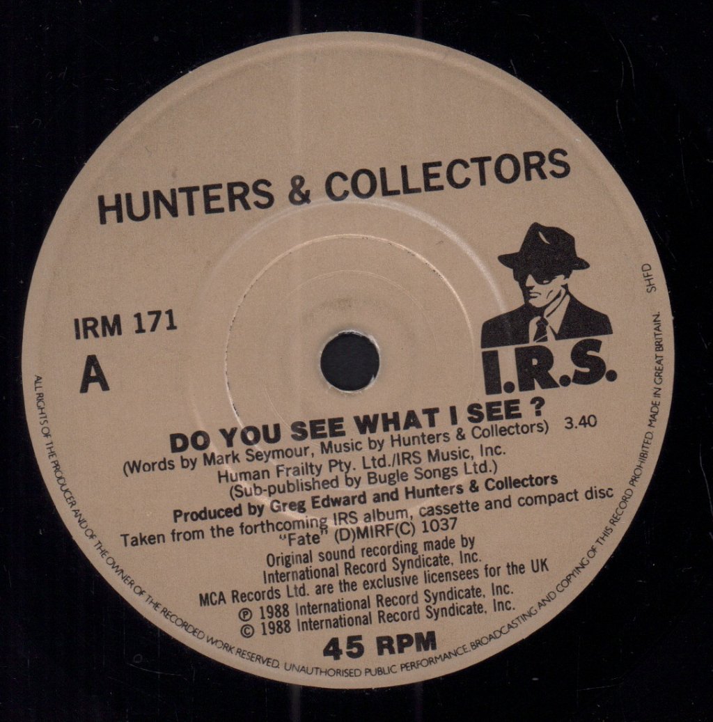 Hunters And Collectors - Do You See What I See - 7 Inch
