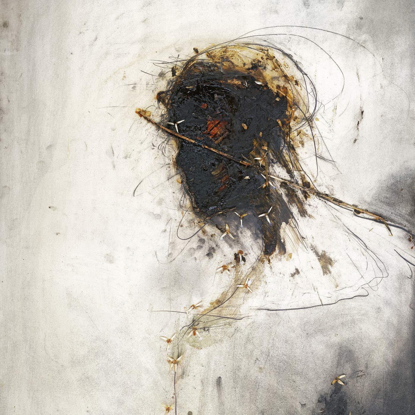 Peter Gabriel - Passion - Music For 'the Last Temptation of Christ - Cd
