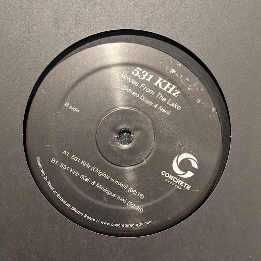 Voices From The Lake - 531 KHz - 12 Inch