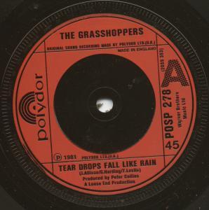 Grasshoppers - Tear Drops Fall Like Rain - 7 Inch