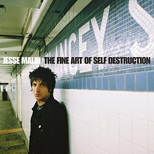 Jesse Malin - Fine Art of Self Destruction - Double Lp