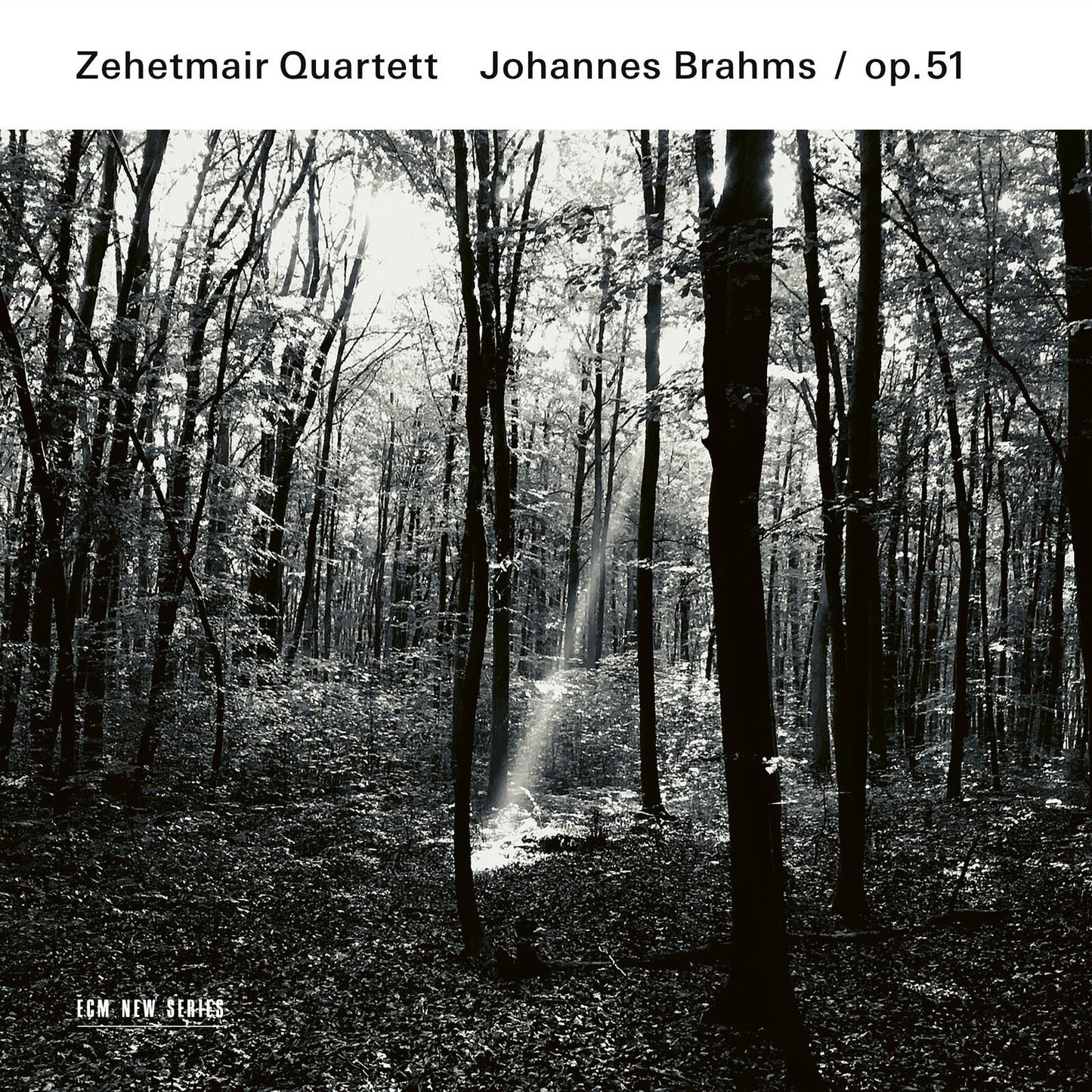 Zehetmair Quartett - Zehetmair Quartett - Brahms 51 - Cd