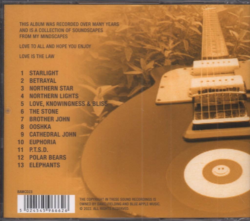 Dave Fielding (chameleons) - Northern star - Cd