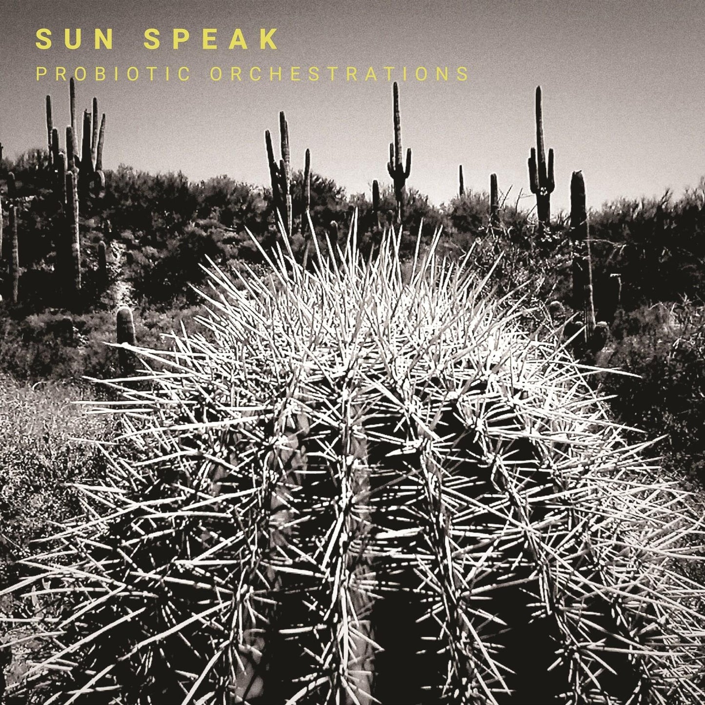 Sun Speak - Probiotic Orchestrations - Cd