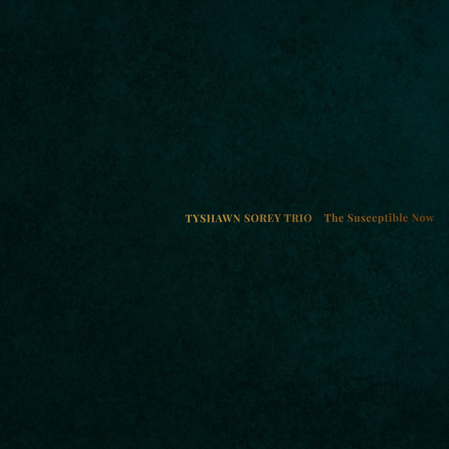 Tyshawn Sorey - Susceptible Now - Cd