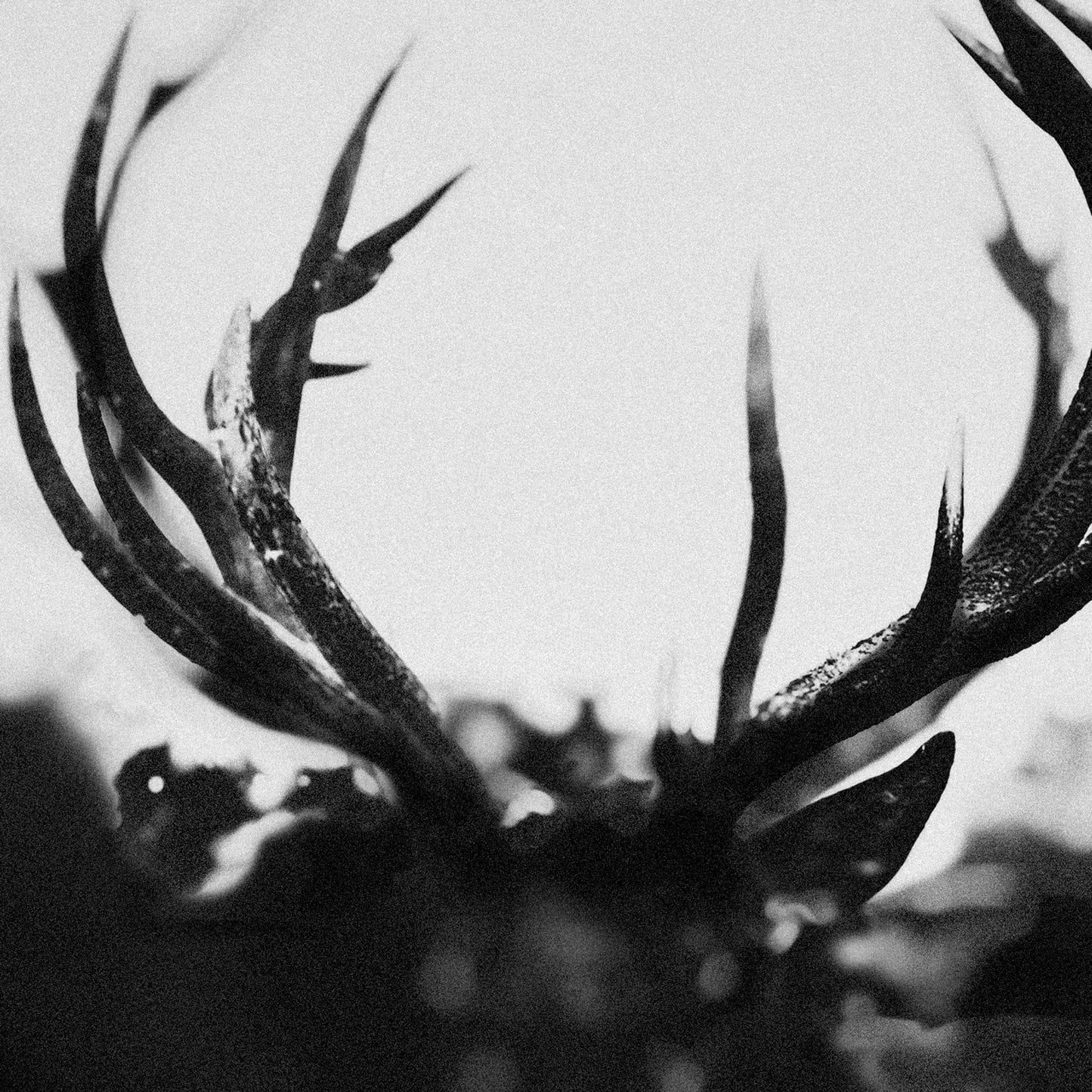 Ihsahn - Ihsahn - Double Lp