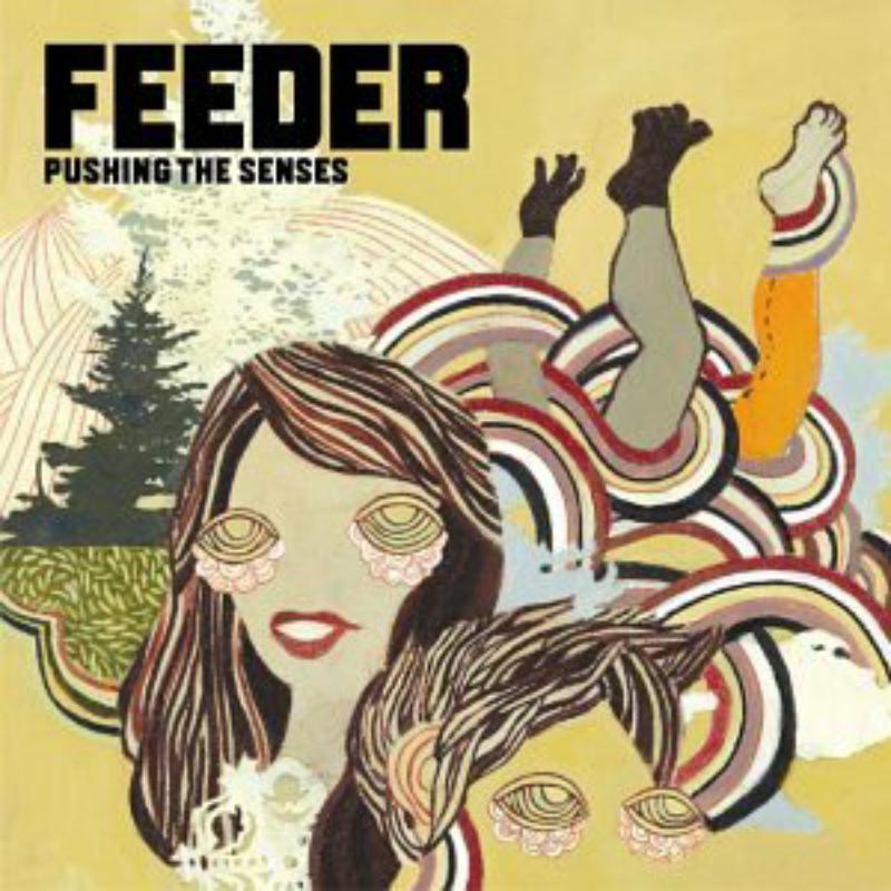 Feeder - Pushing the Senses - Cd