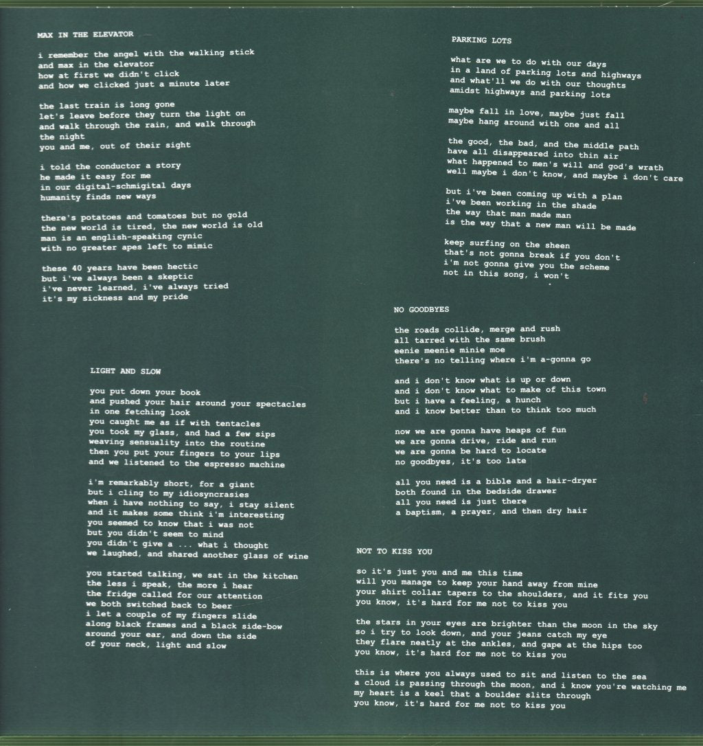 Stanley Brinks And The Wave Pictures - Gin - Lp