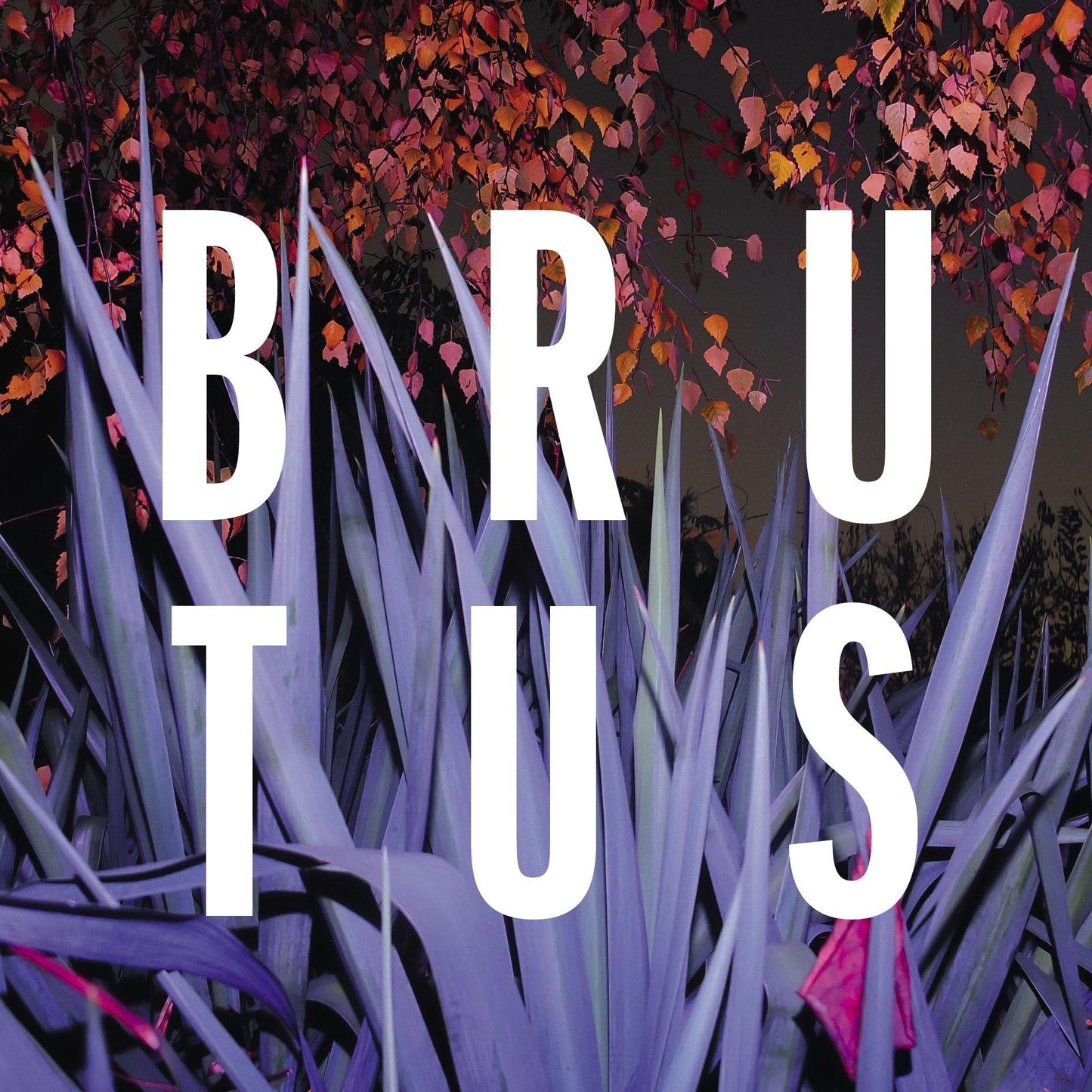 Brutus - Burst - Cd
