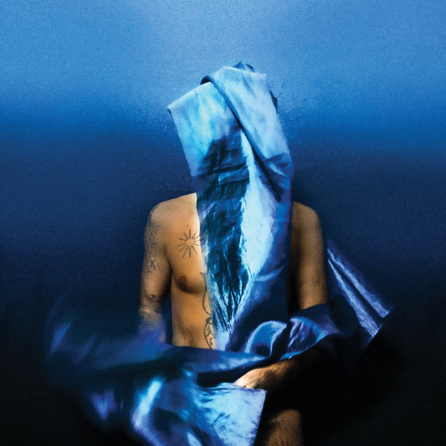 Devendra Banhart - Flying Wig - Lp