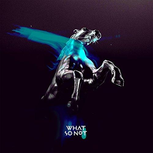 What So Not - Not All the Beautiful Things - Cd