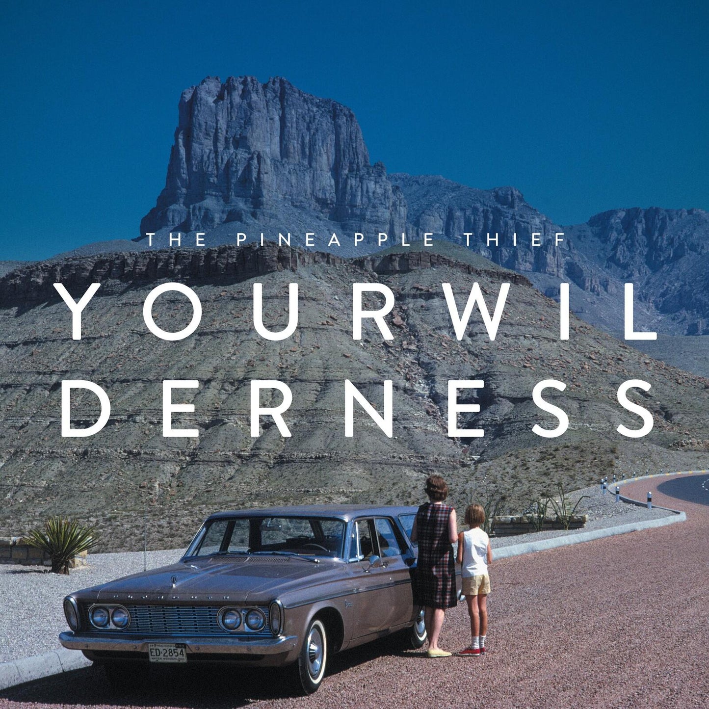 Pineapple Thief - Your Wilderness (10th Annivers - Lp