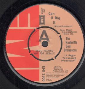Nashville Soul Orchestra - Can U Dig It - 7 Inch