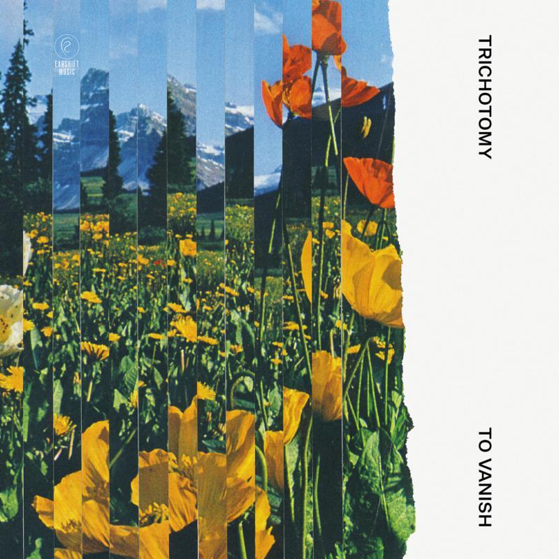 Trichotomy - To Vanish - Cd