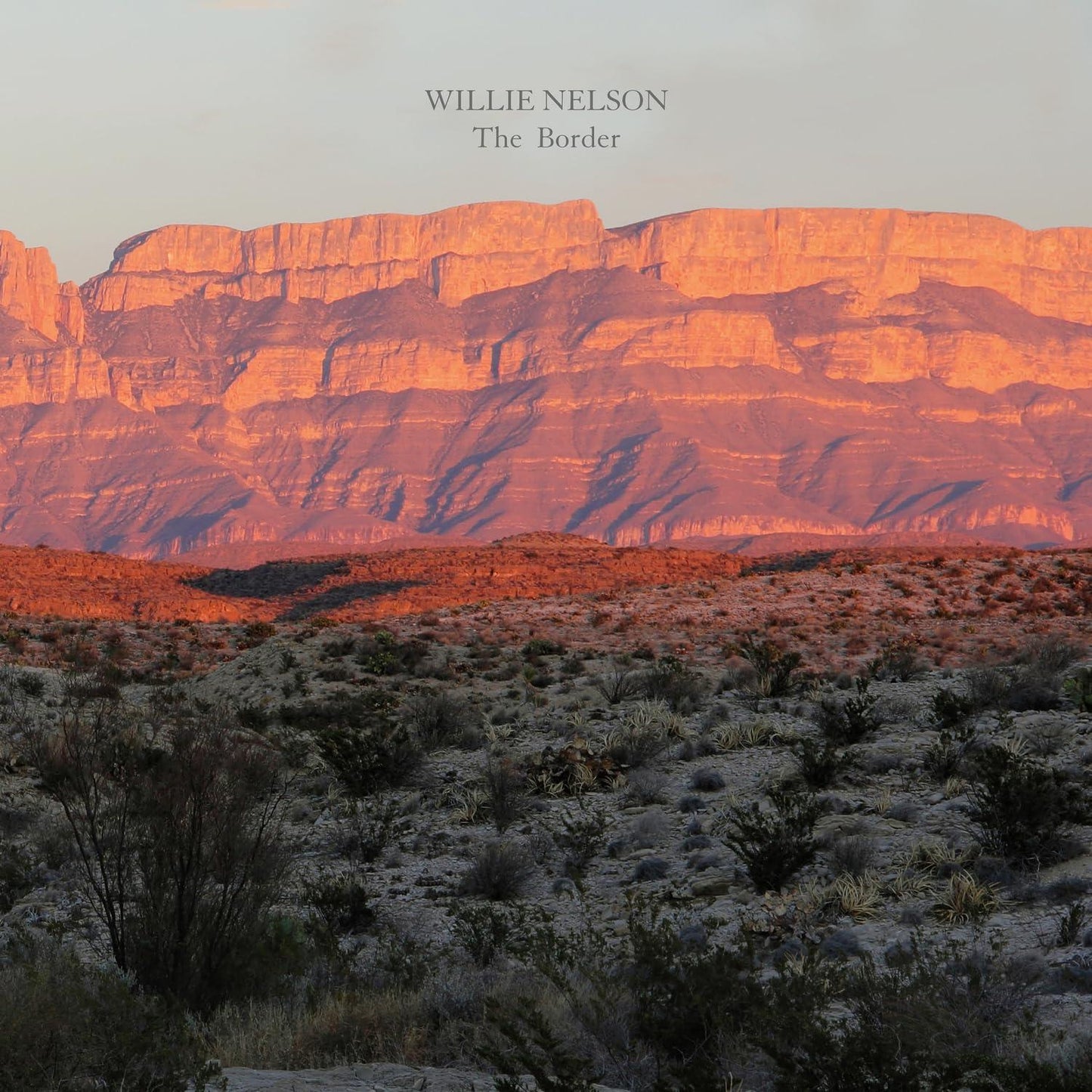 Willie Nelson - Border - Lp