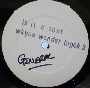 Wayne Wonder - Is It A Test - 12 Inch