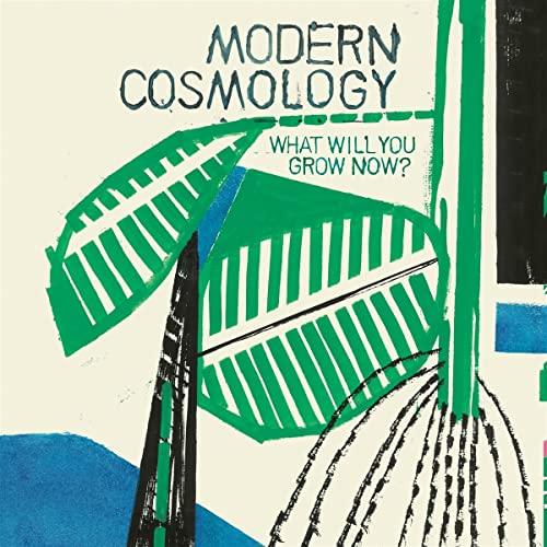 Modern Cosmology - What Will You Grow Now? - Lp