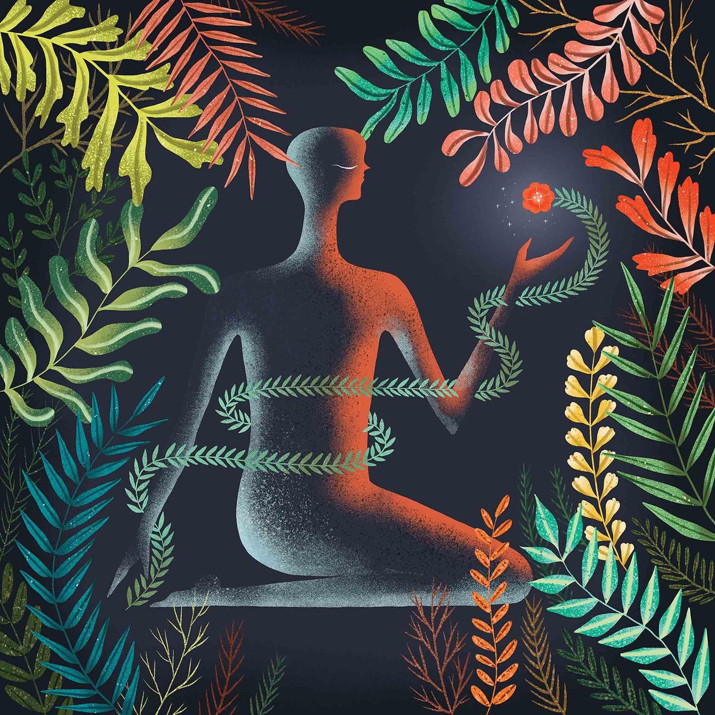 Loma - Don't Shy Away - Cd