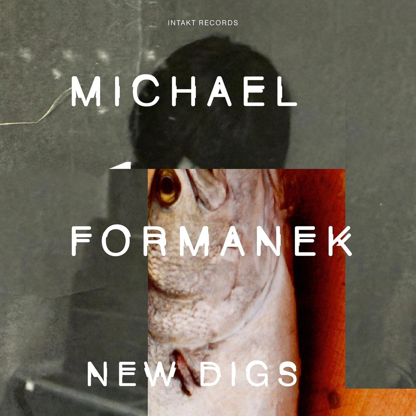 Michael Formanek - New Digs - Cd
