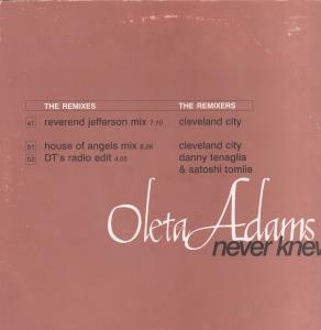 Oleta Adams - Never Knew - 12 Inch