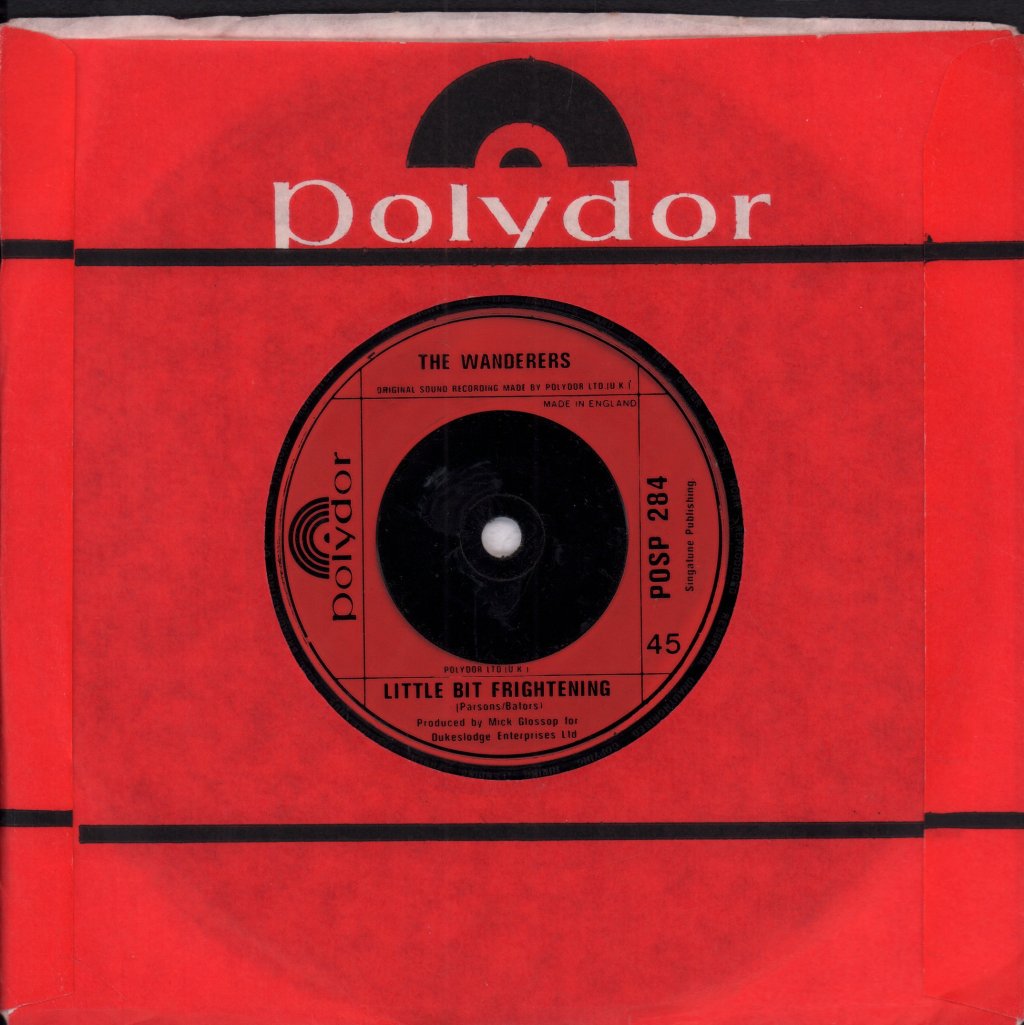 Wanderers (Punk Group) - Times They Are A Changin - 7 Inch