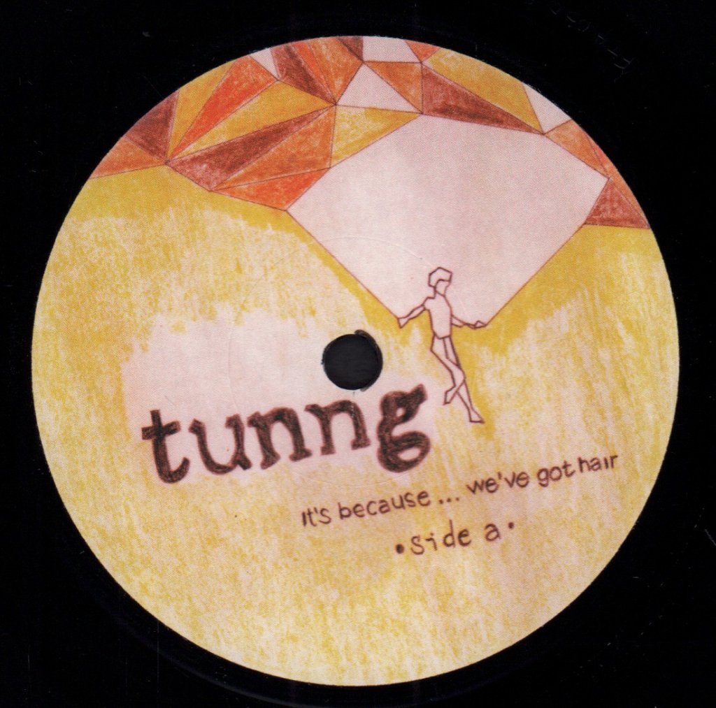 Tunng - It's Because We've Got Hair - 7 Inch