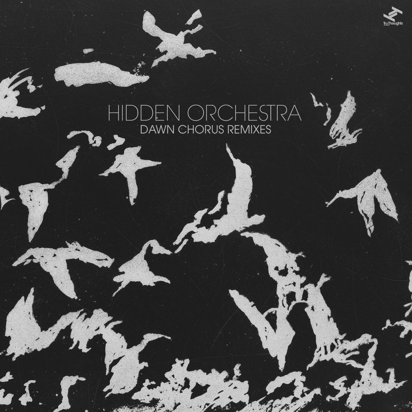 Hidden Orchestra - Dawn Chorus Remixes - Double Lp