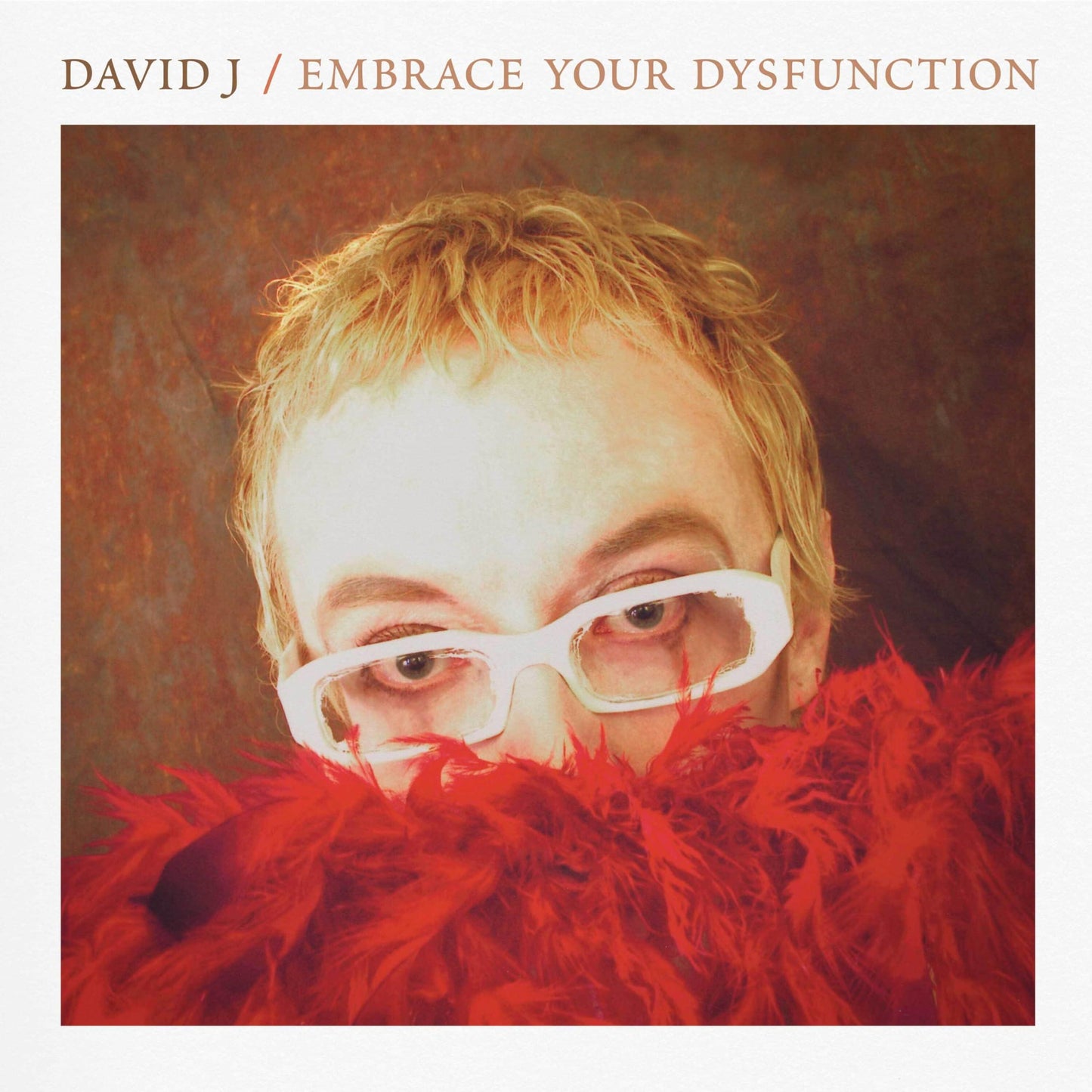 David J - Embrace Your Dysfunction - Lp