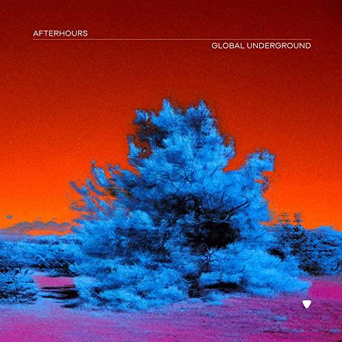 Various Artists - Global Underground: Afterhours 9 - Double Cd