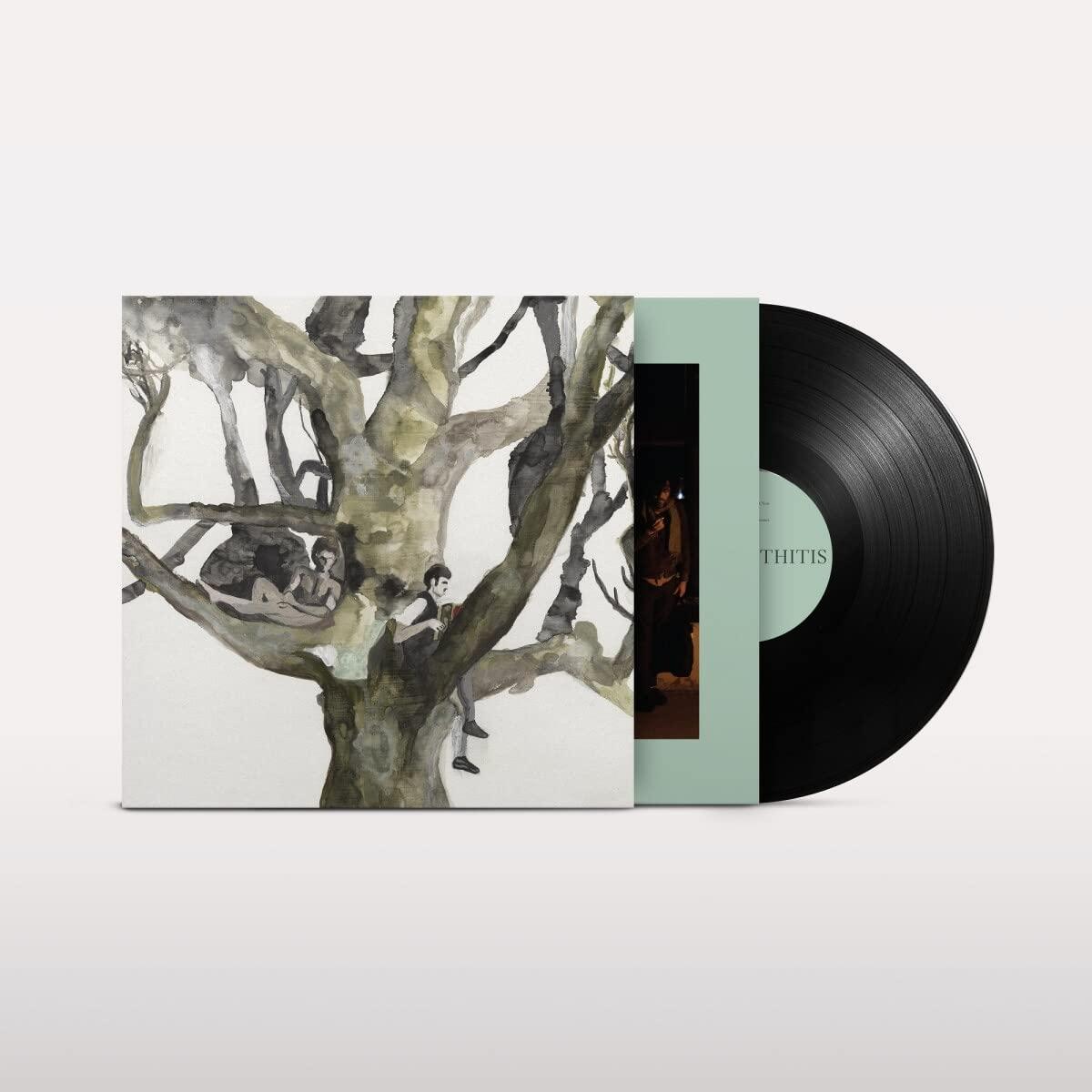 Destroyer - Labyrinthitis - Lp