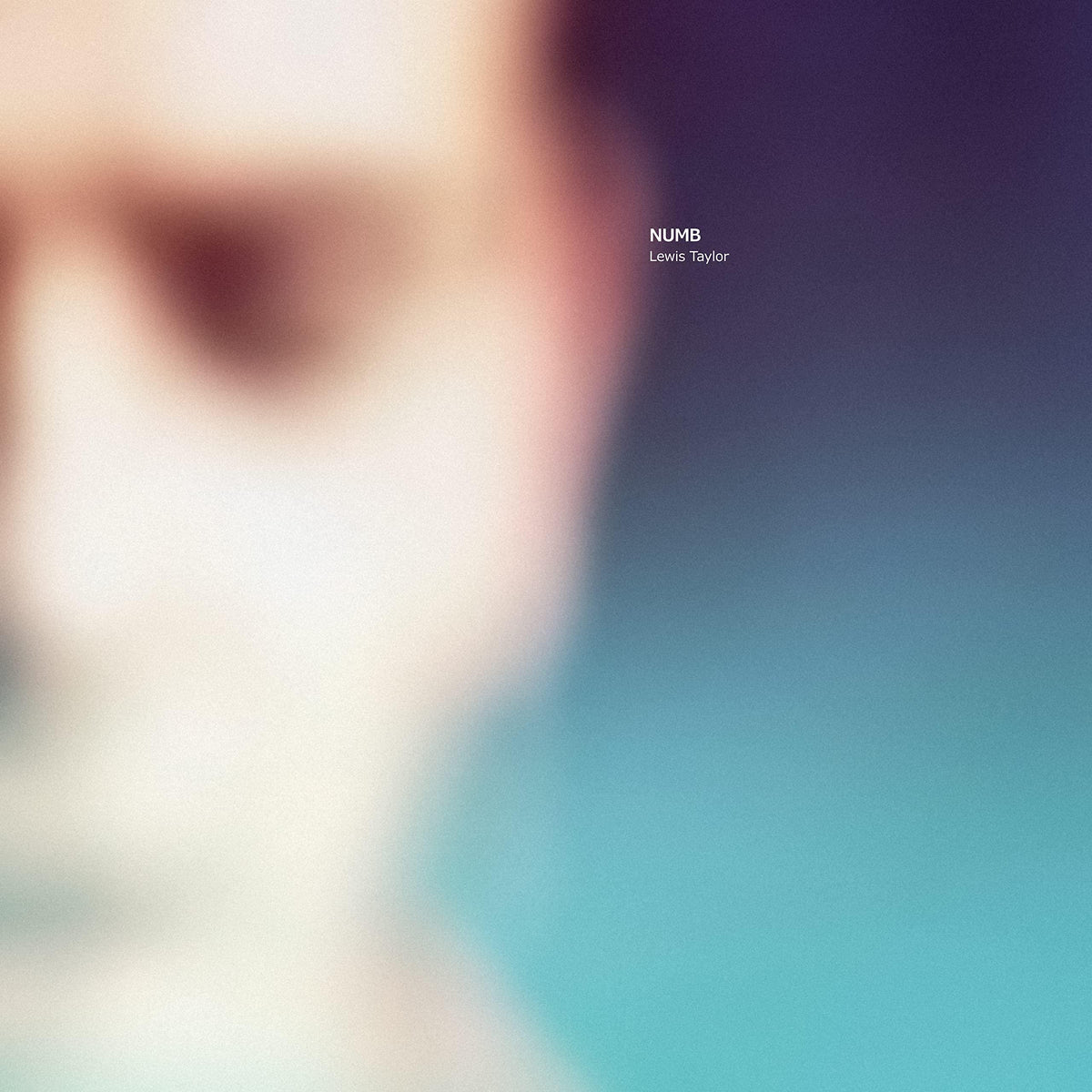 Lewis Taylor - Numb - Double Lp