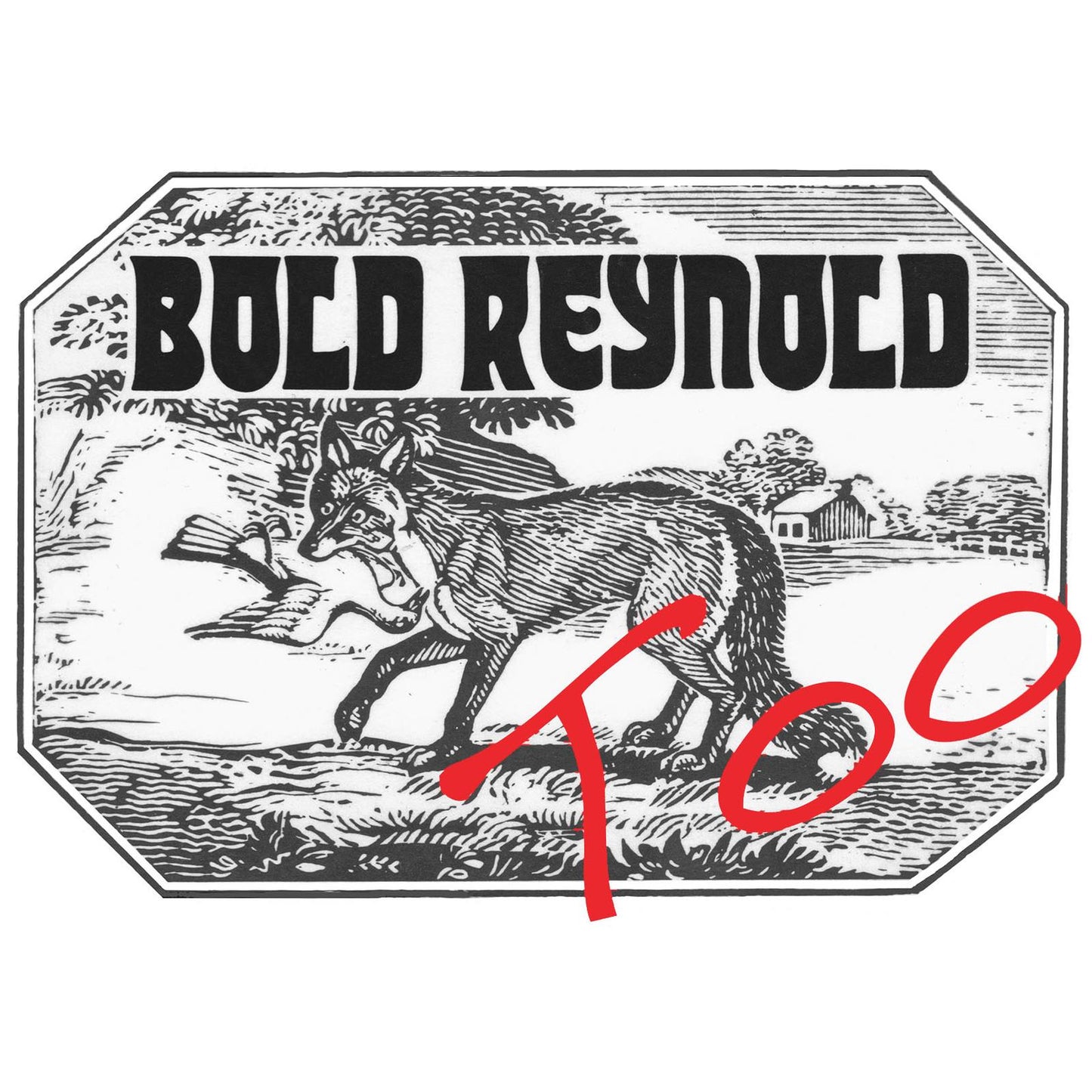 David Carroll - Bold Reynold Too - Cd