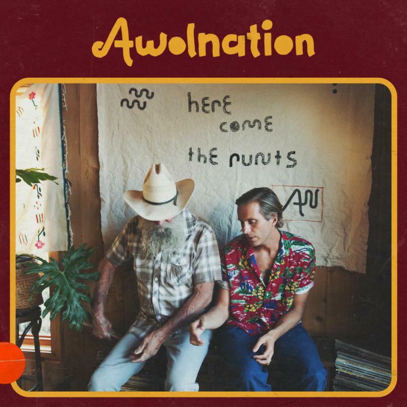 Awolnation - Here Come the Runts - Lp