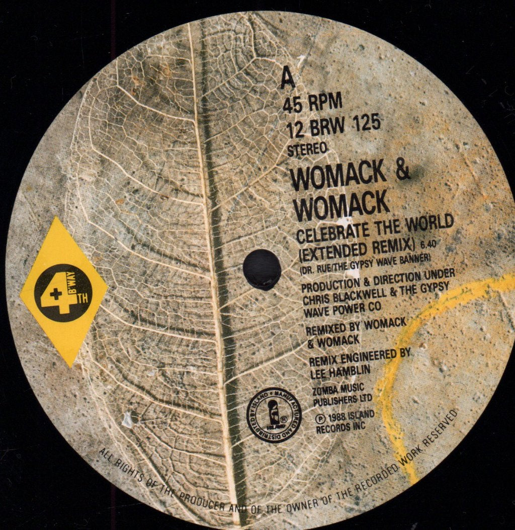 Womack And Womack - Celebrate The World - 12 Inch