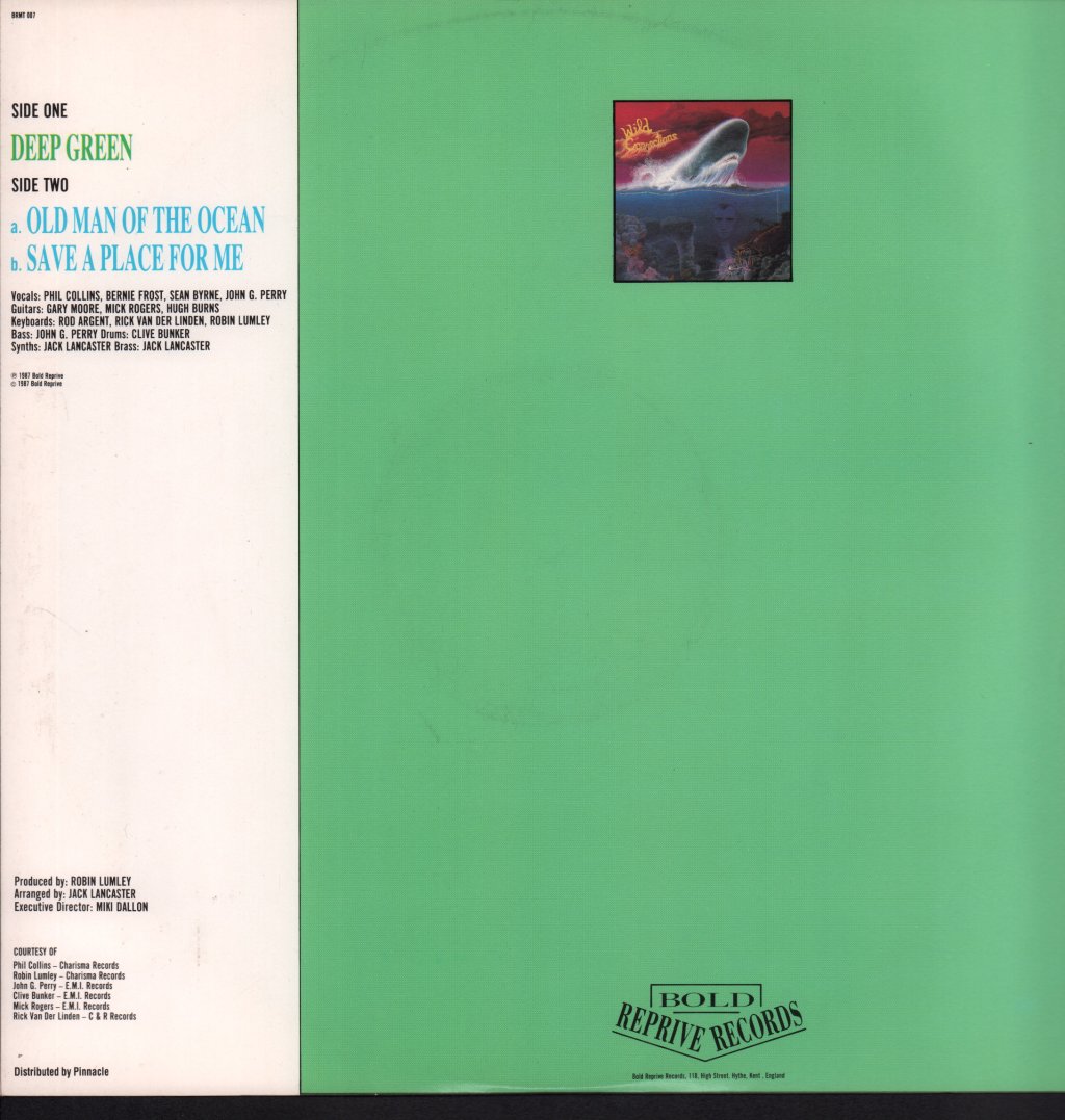 Wild Connections - Deep Green - 12 Inch