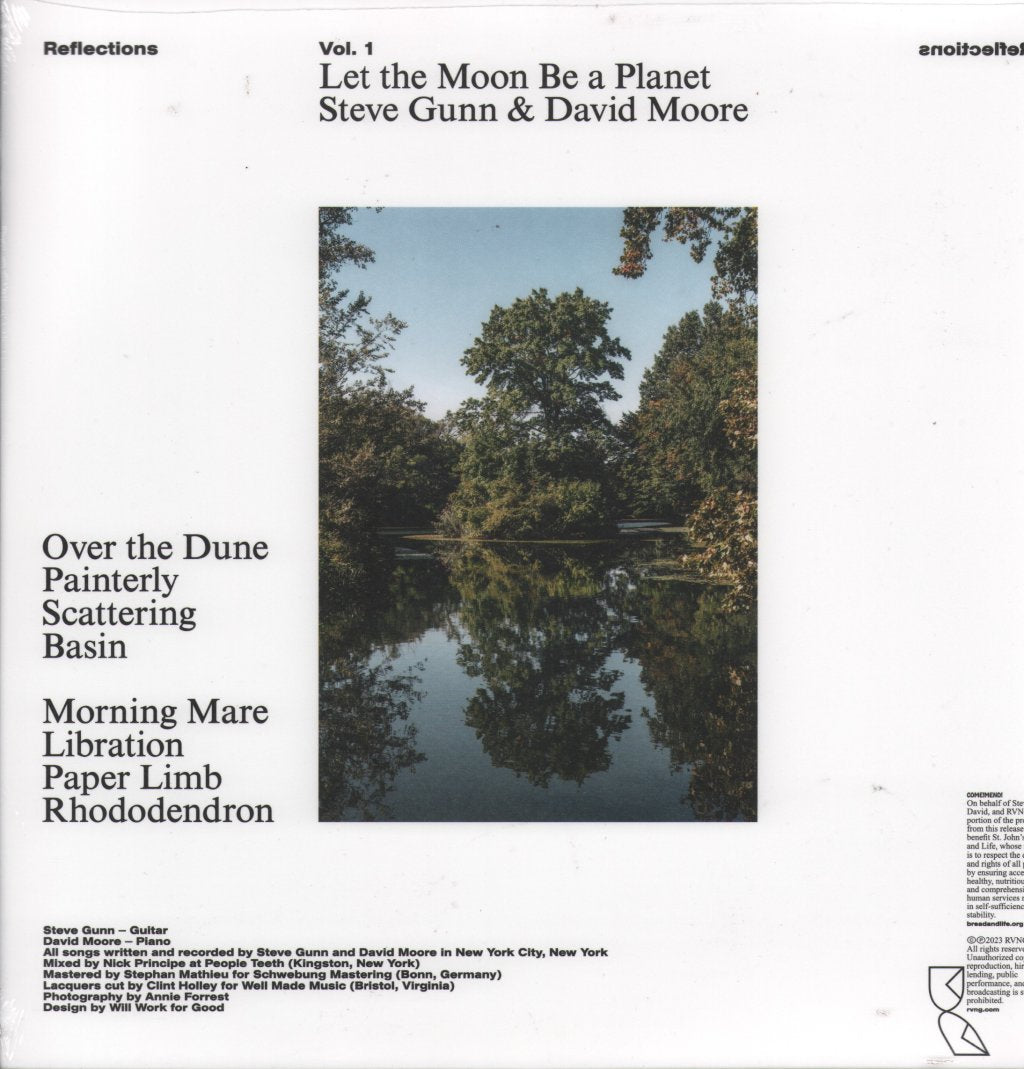 Steve Gunn and David Moore - Let the Moon Be A Planet - Lp