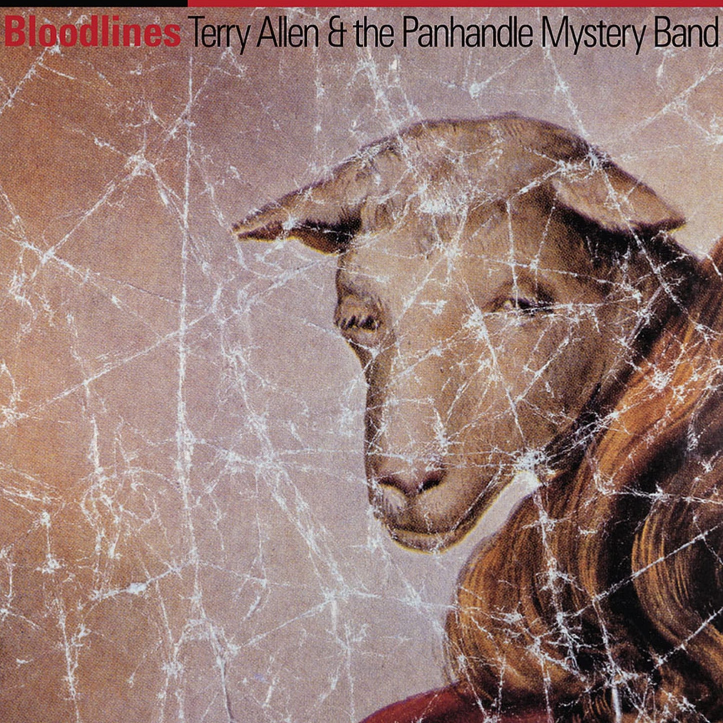 Terry Allen & The Panhandle Mystery Band - Bloodlines - Cd