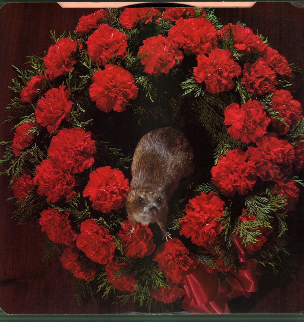 Stranglers - No More Heroes - Lp