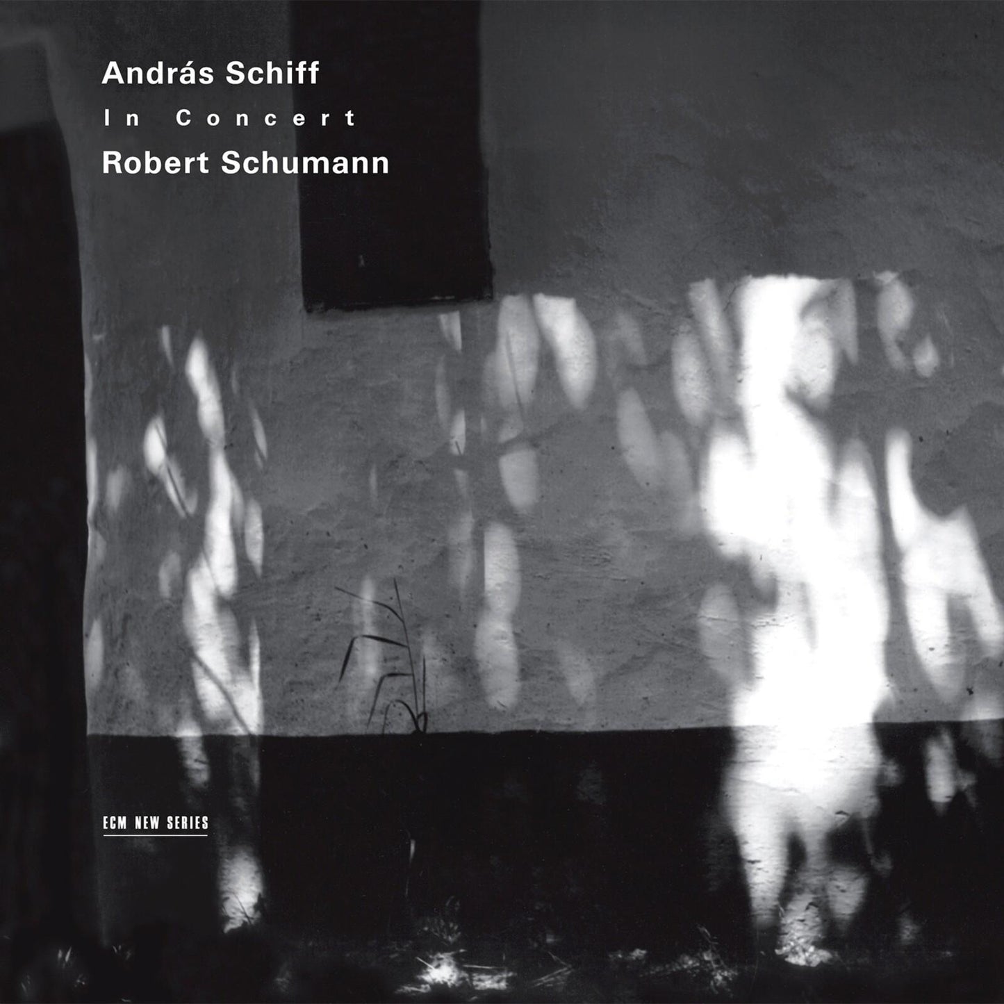 Andras Schiff - Andras Schiff In Concert - Robert Schumann - Double Cd