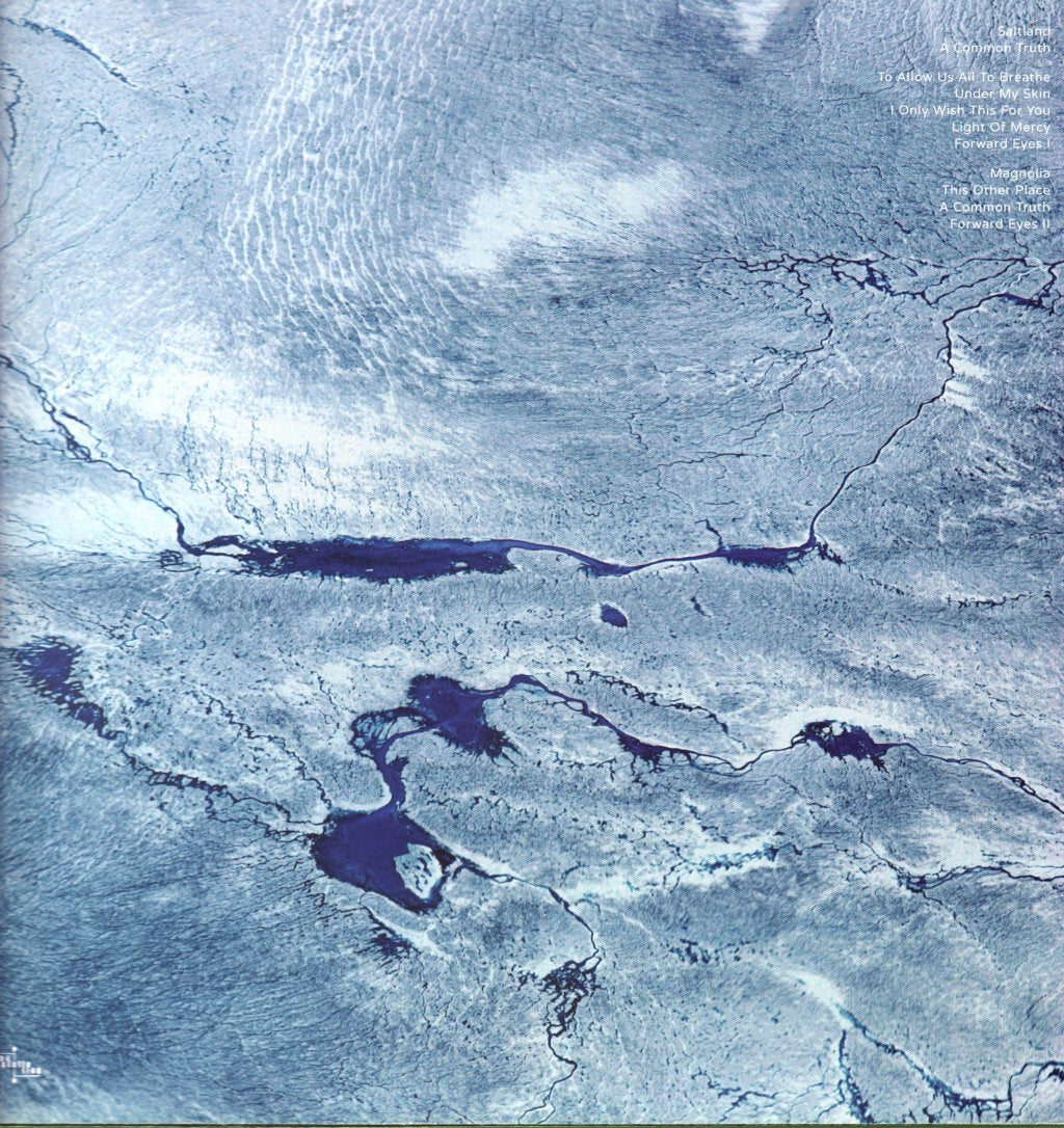 Saltland - A Common Truth - Lp